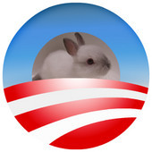 Fluffy Bunny 2008