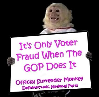 surrender monkey voter fraud