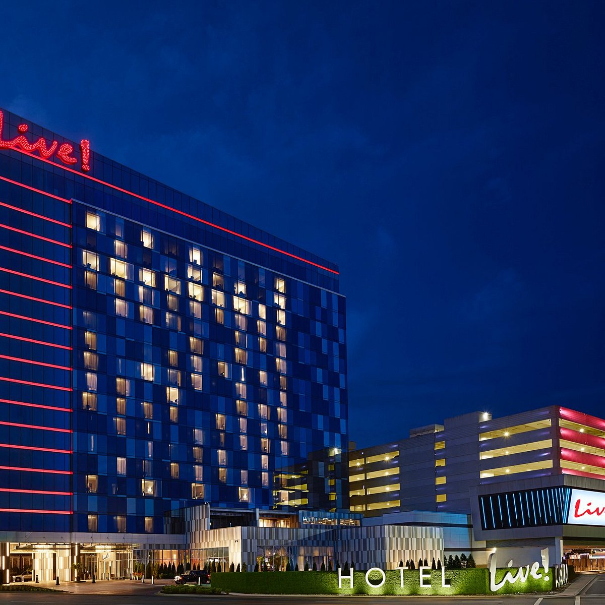 live casino